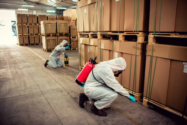 Best Exterminator Services  in Brookfield, NJ