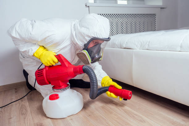 Best Pest Control for Businesses  in Brookfield, NJ