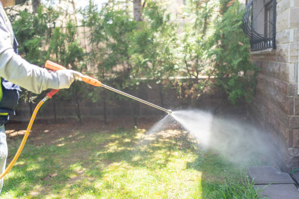 Best Best Pest Control Companies  in Brookfield, NJ