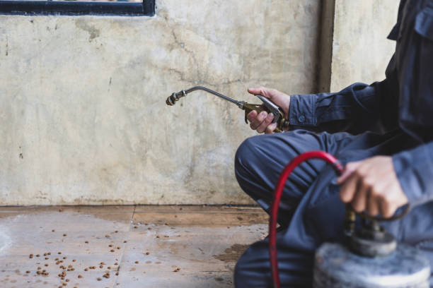 Best Pest Control Treatment  in Brookfield, NJ